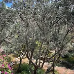 بيت للعطل Grandpa Simos' Traditional Agios Romanos